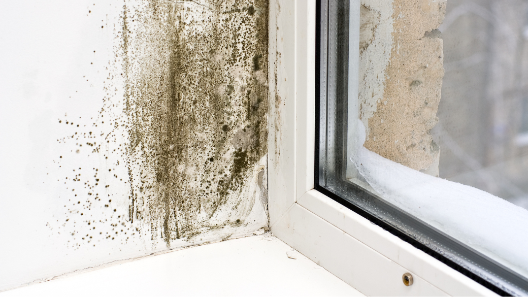 Awaab’s Law – Another Reason to Further Delay the Fixed Costs Extension in Housing Conditions Claims?